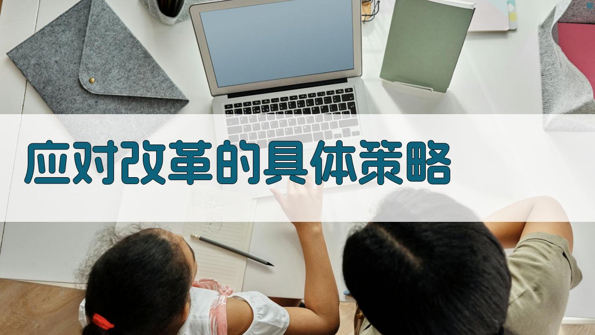 应对改革的具体策略 图3