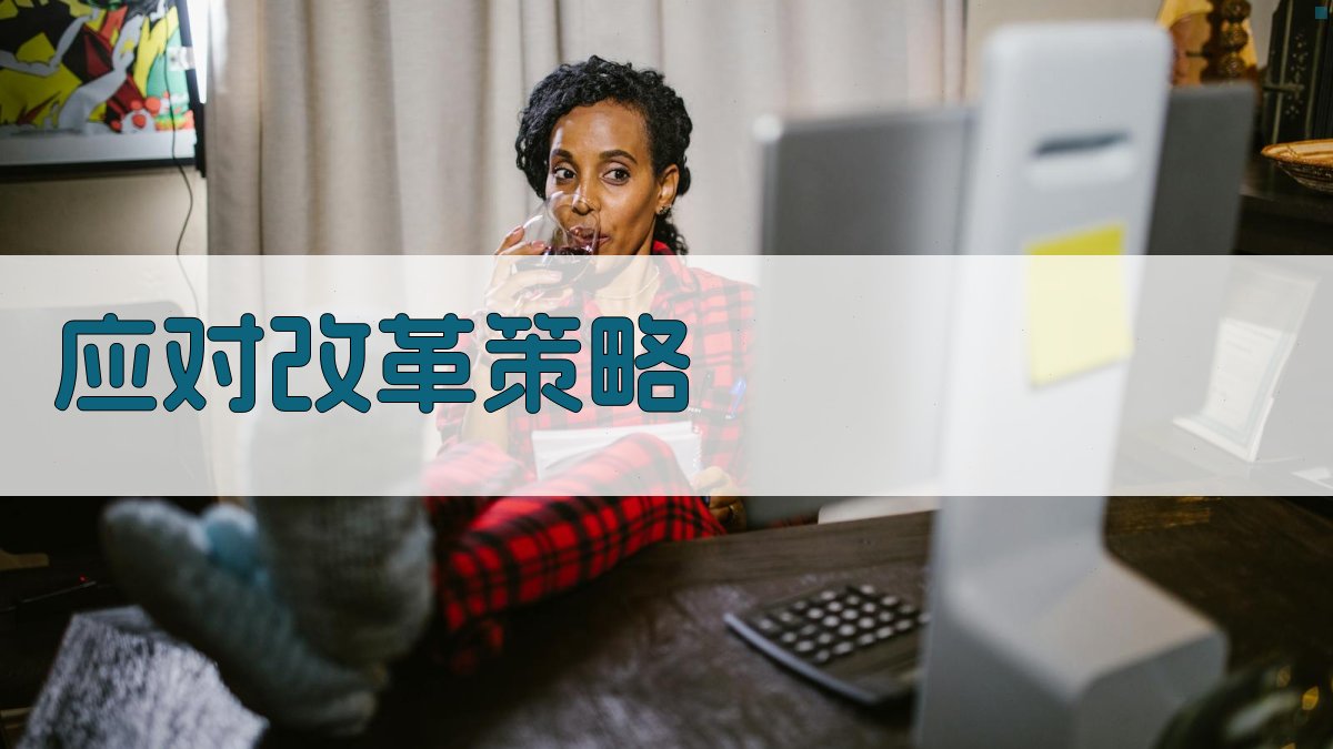 应对改革策略 图4