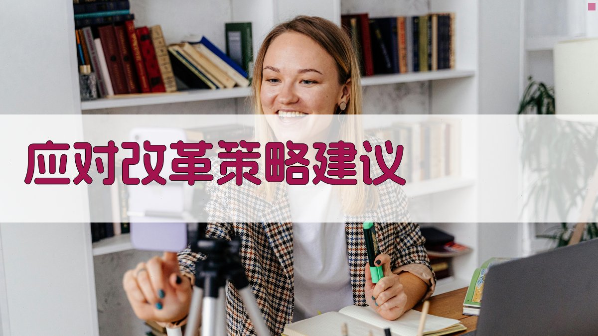 应对改革策略建议 图3