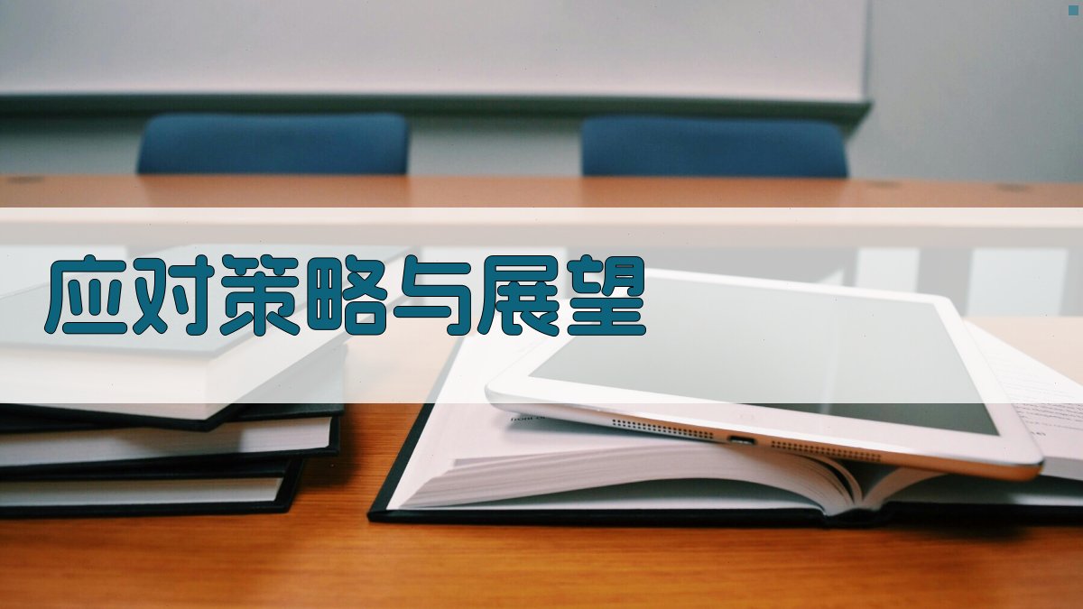 应对策略与展望 图3