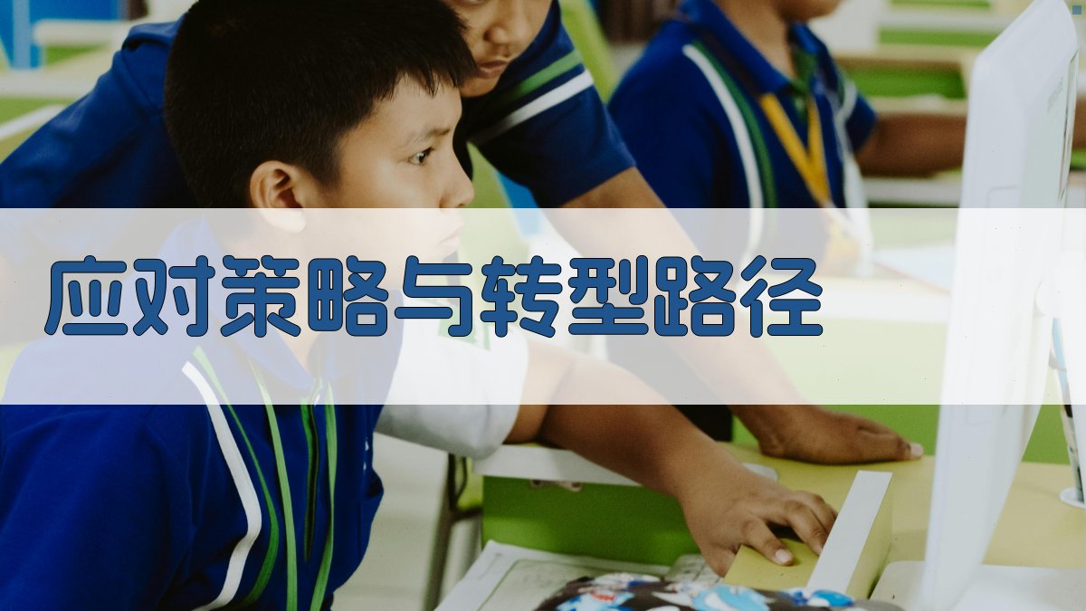 应对策略与转型路径 图4
