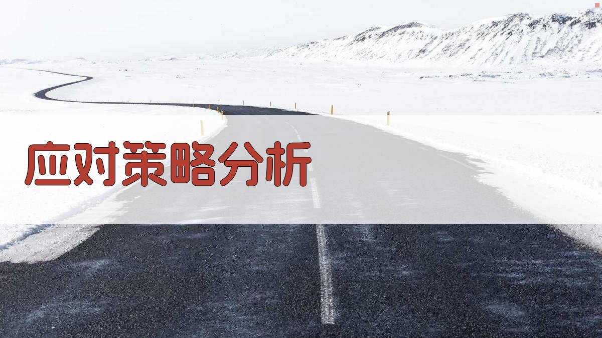 应对策略分析 图3