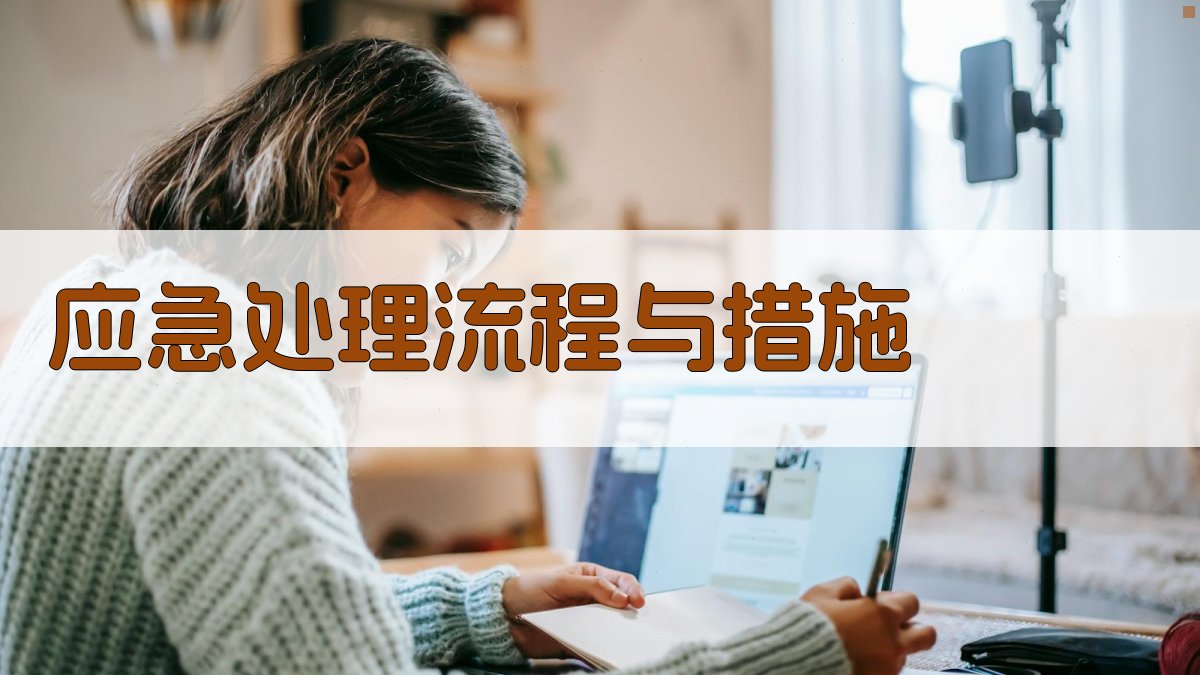 应急处理流程与措施 图2