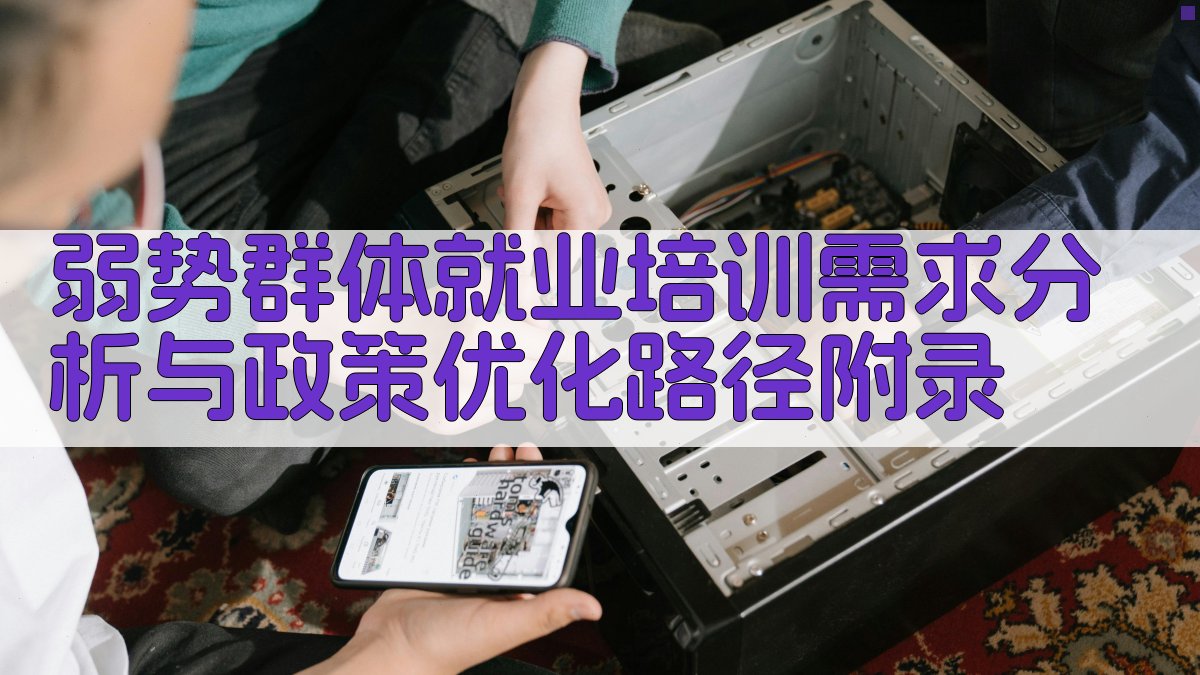 弱势群体就业培训需求分析与政策优化路径 · 附录 图5