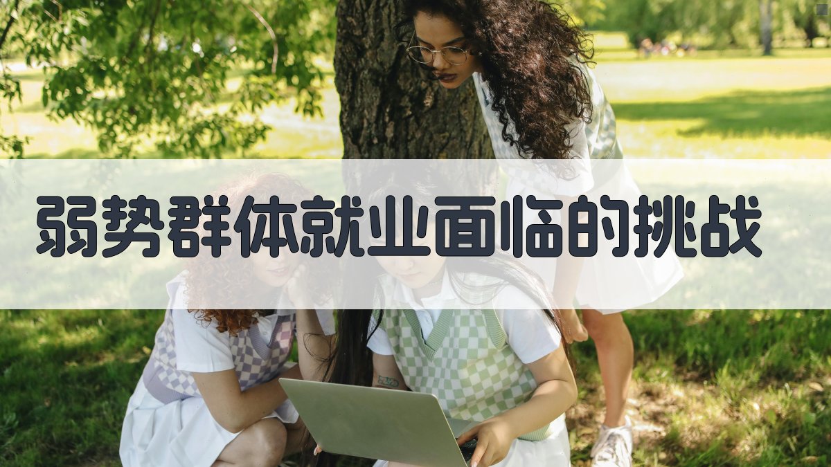 就业培训政策调整关注弱势群体就业