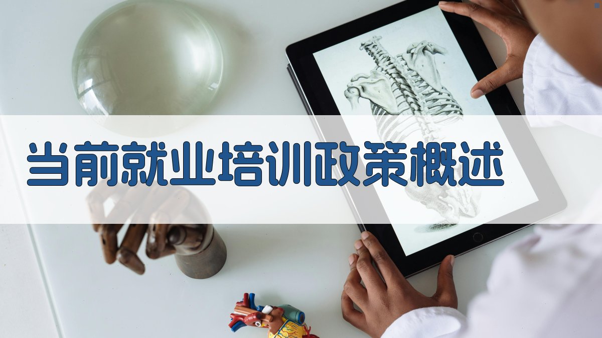 就业培训政策详解助力更多人实现高质量就业