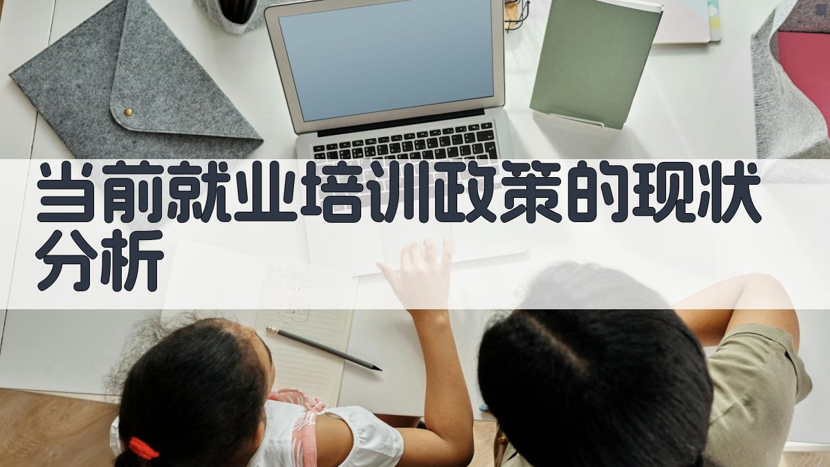 当前就业培训政策的现状分析 图2