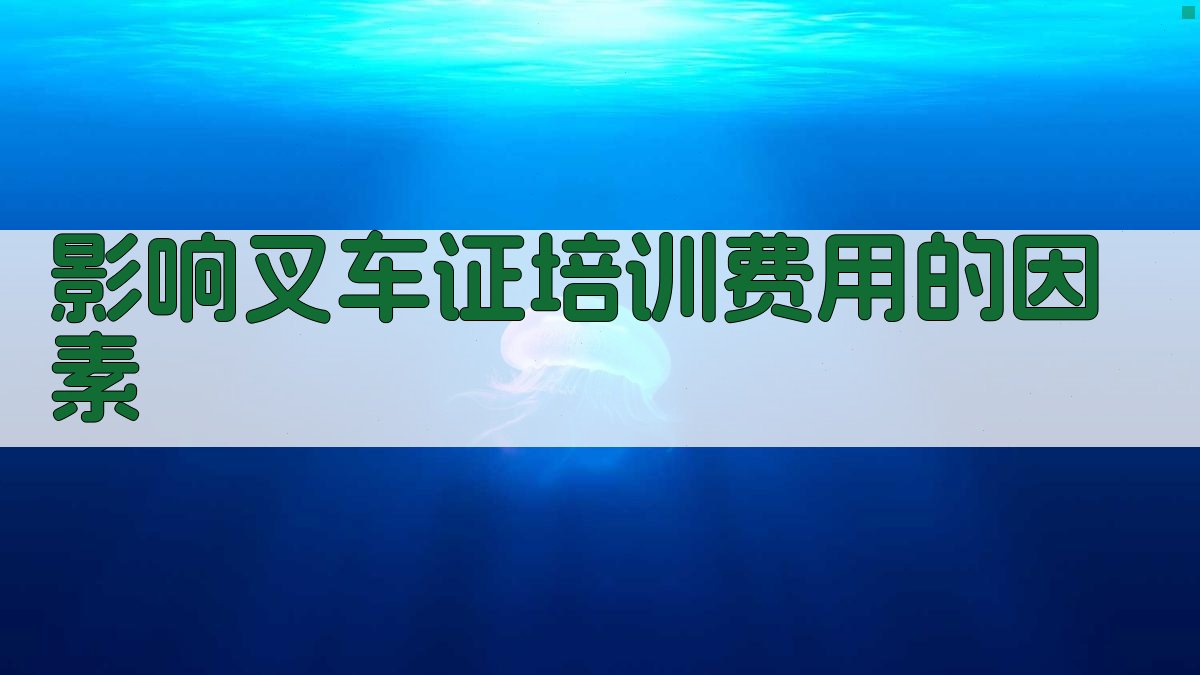 叉车证培训费用解析与选择指南
