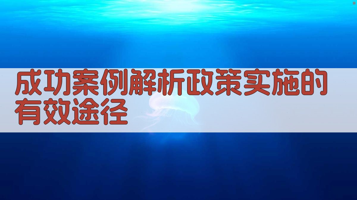 成功案例解析政策实施的有效途径 图3