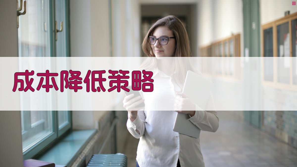 成本降低策略 图2