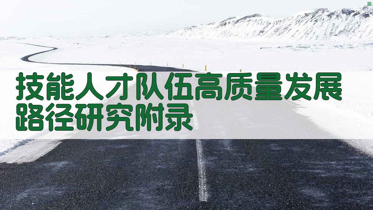 技能人才队伍高质量发展路径研究 · 附录 图2