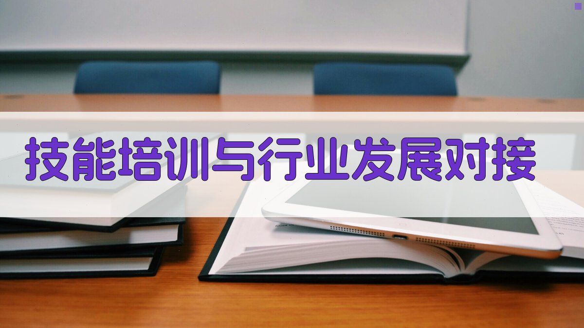 技能培训与行业发展对接 图2