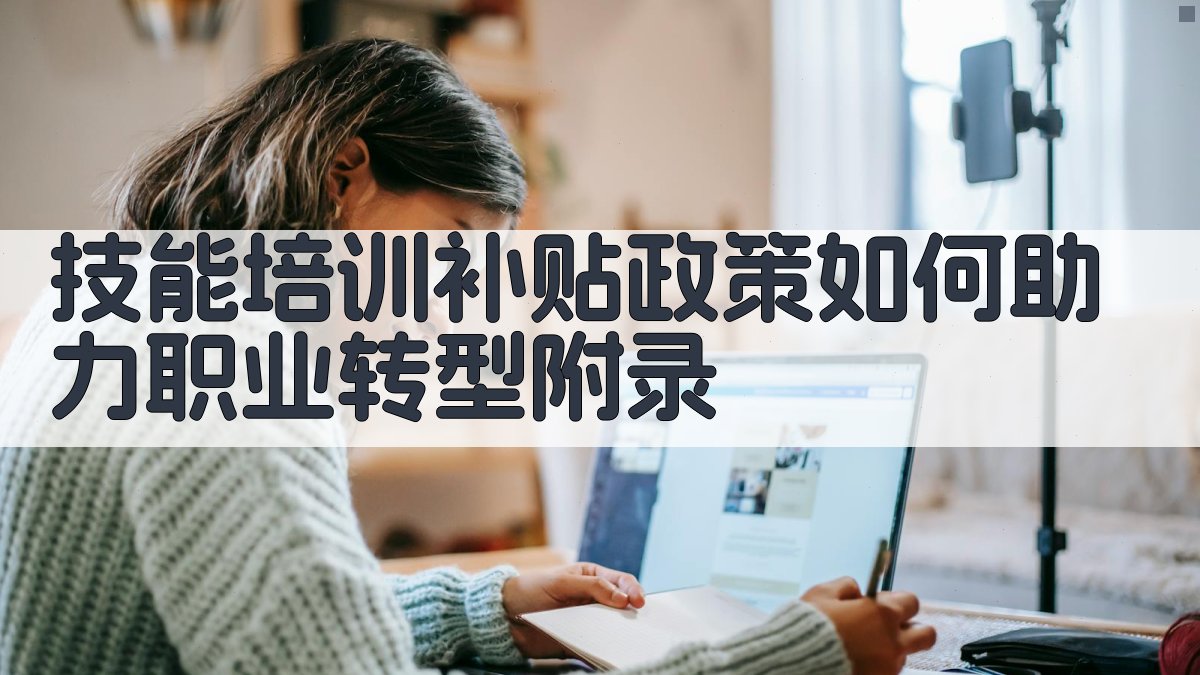 技能培训补贴政策如何助力职业转型 · 附录 图2