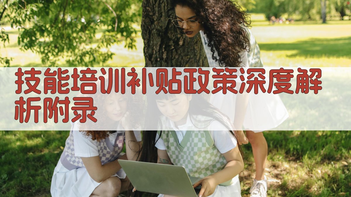 技能培训补贴政策深度解析 · 附录 图2