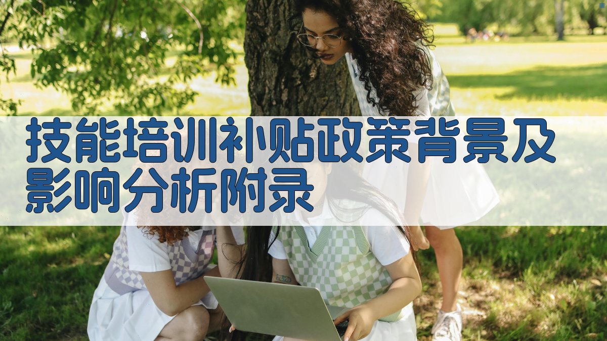 技能培训补贴政策背景及影响分析 · 附录 图4