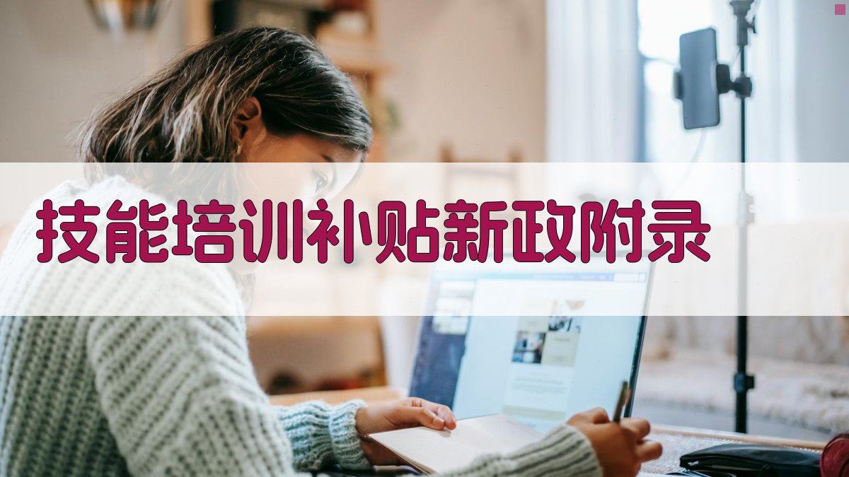技能培训补贴新政 · 附录 图4