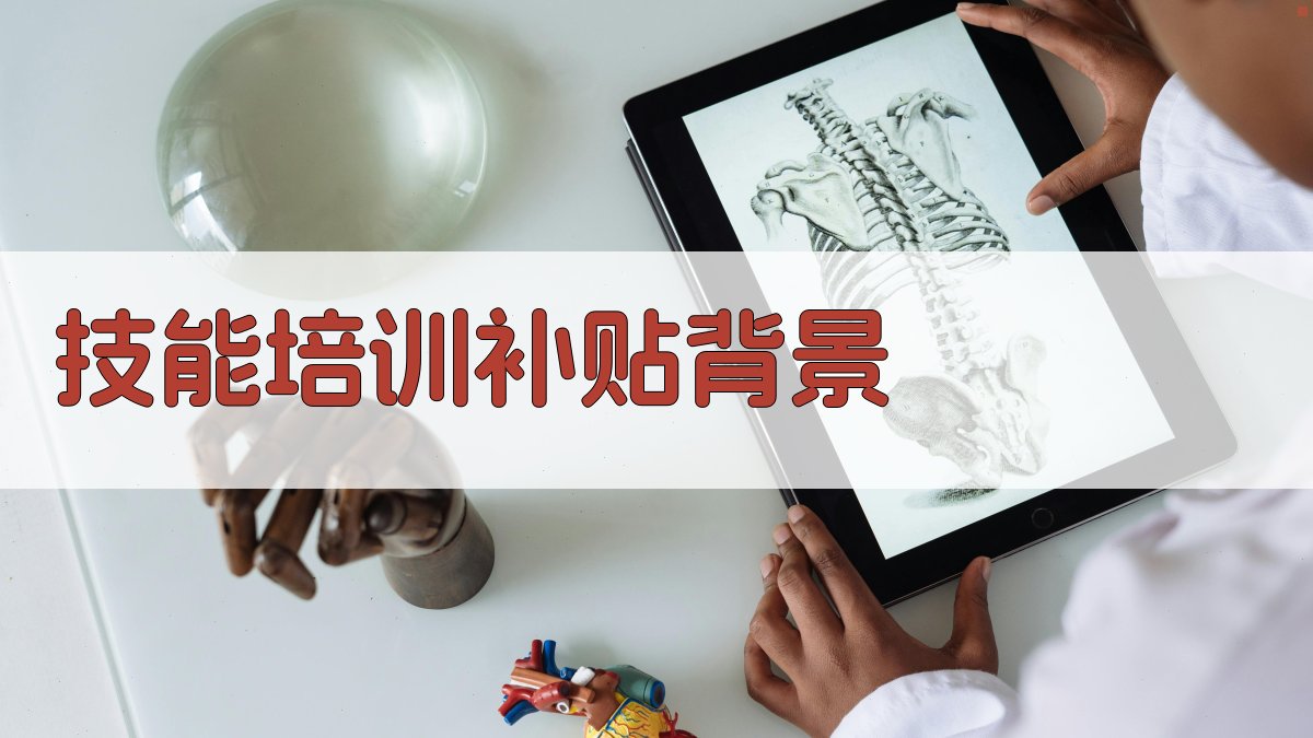 技能培训补贴资金发放公平性保障策略