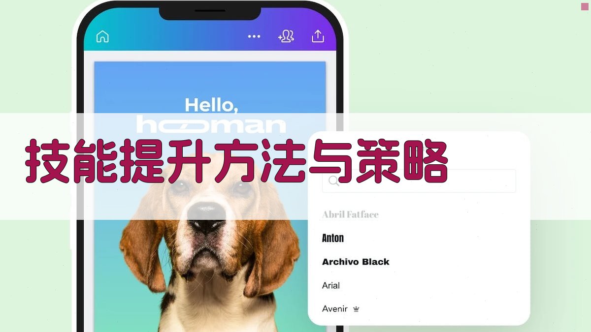 技能提升方法与策略 图3