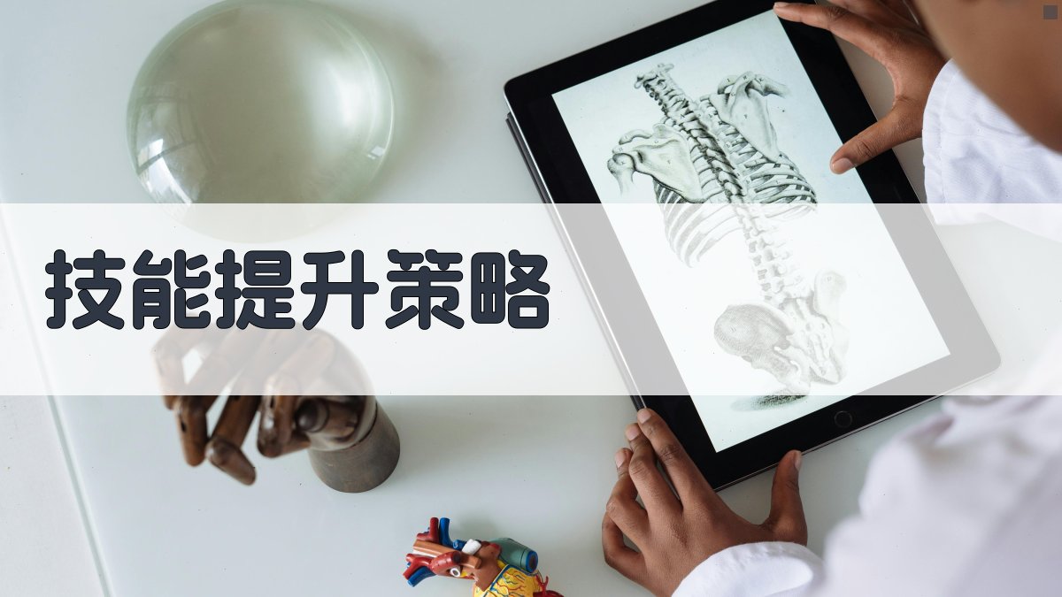 技能提升策略 图2