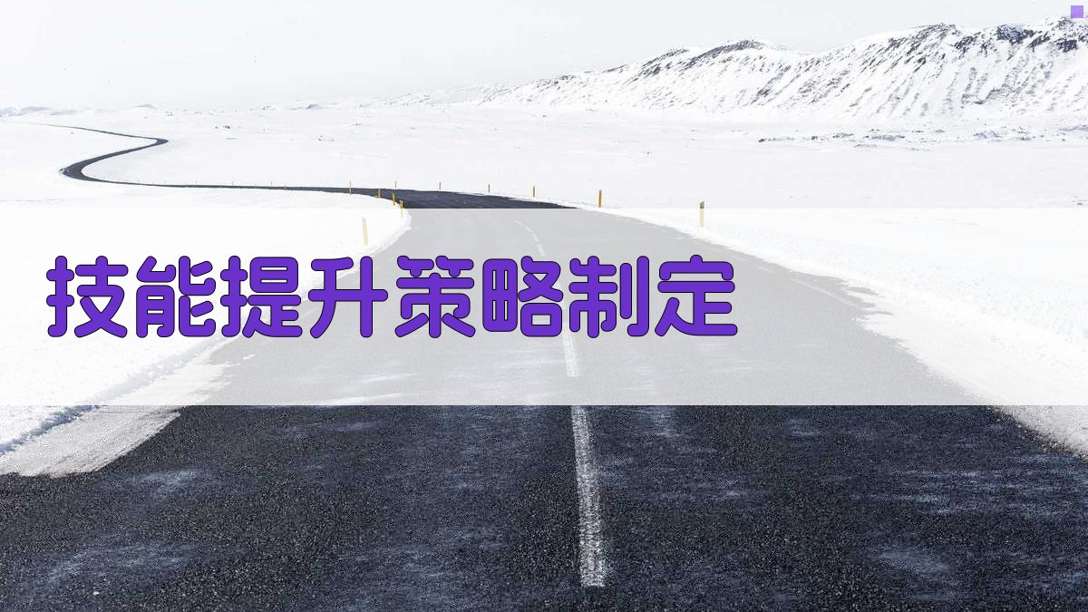 行业高薪技能聚焦职业技能提升策略解析