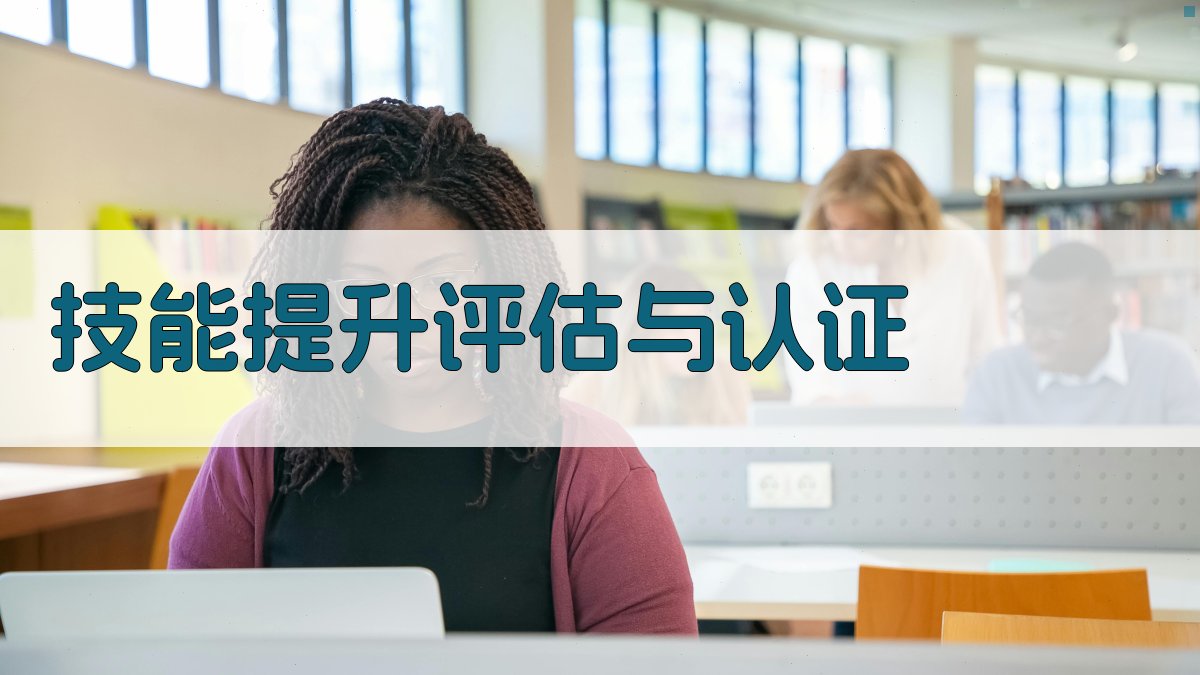 技能提升评估与认证 图3