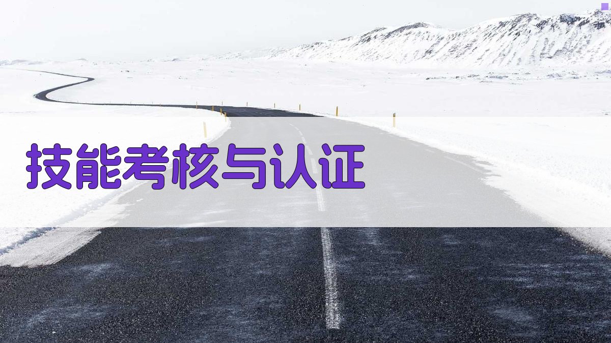 技能考核与认证 图2