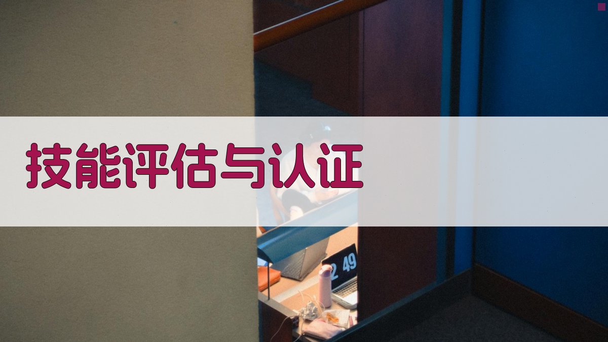 技能评估与认证 图3