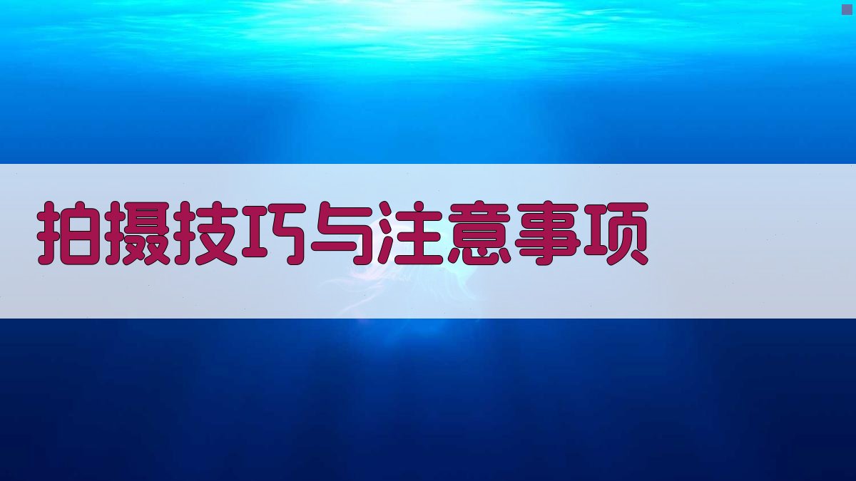 拍摄技巧与注意事项 图3