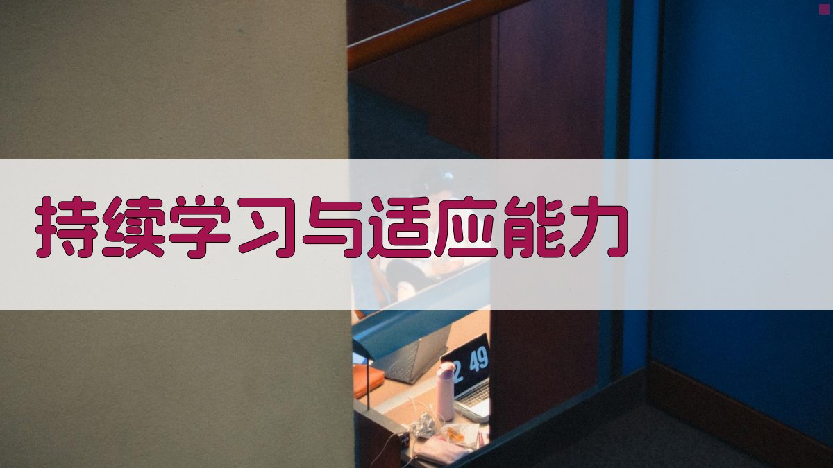 持续学习与适应能力 图4
