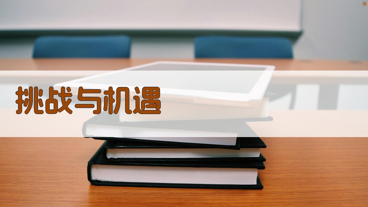 挑战与机遇 图4