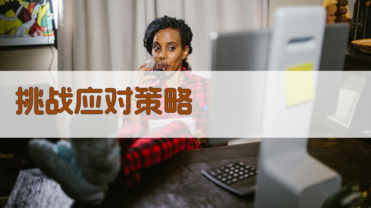 挑战应对策略 图3