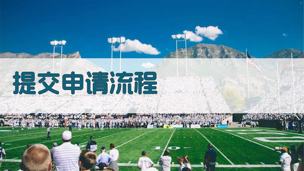 提交申请流程 图3