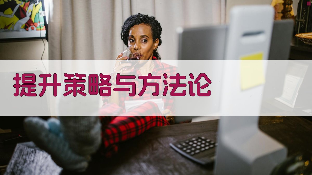 提升策略与方法论 图2