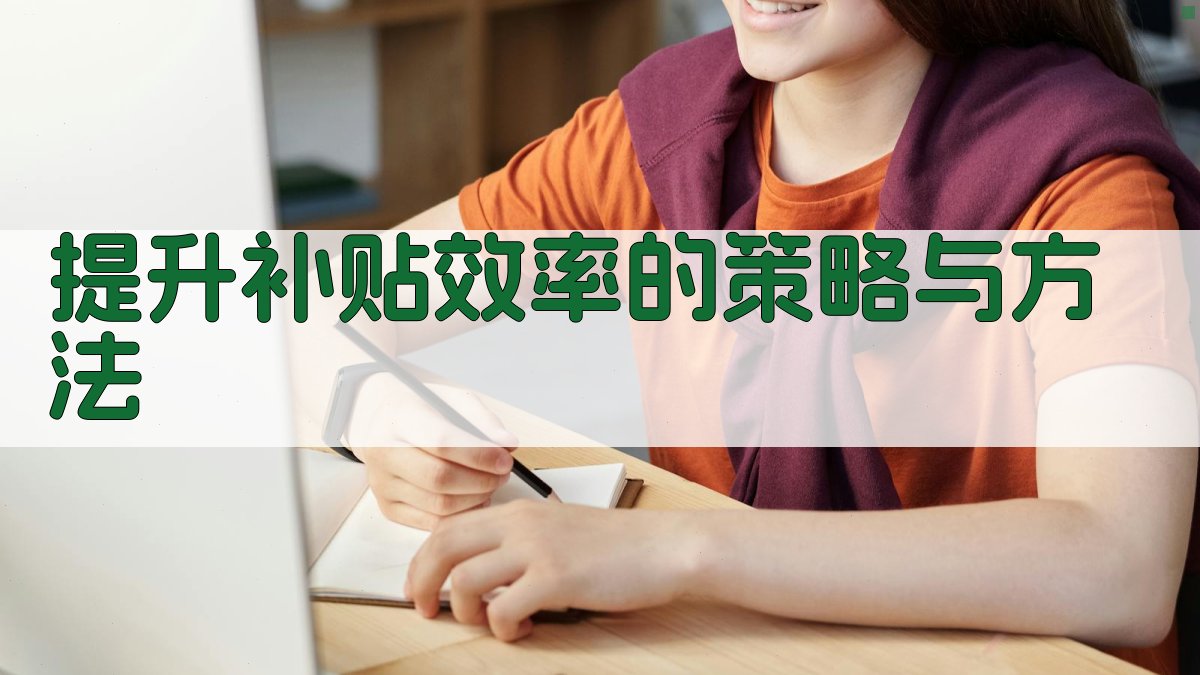 提升补贴效率的策略与方法 图2