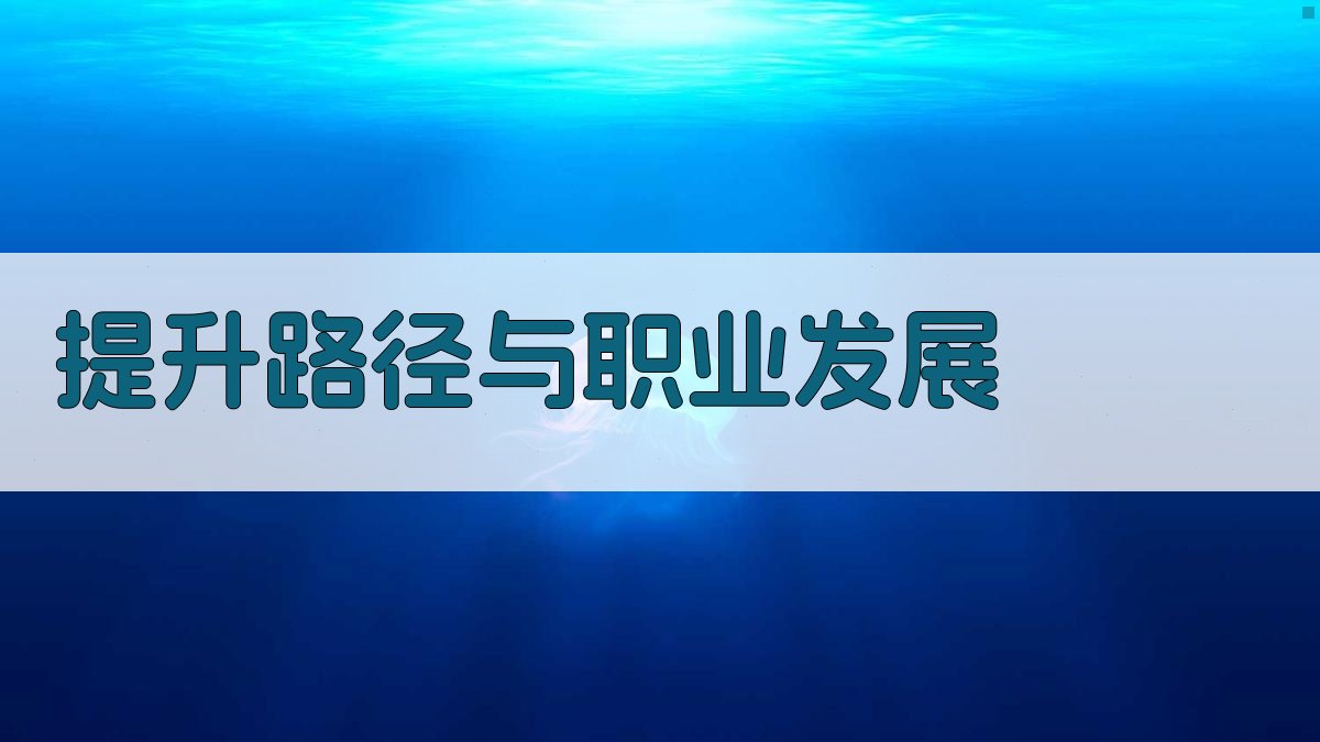 提升路径与职业发展 图3