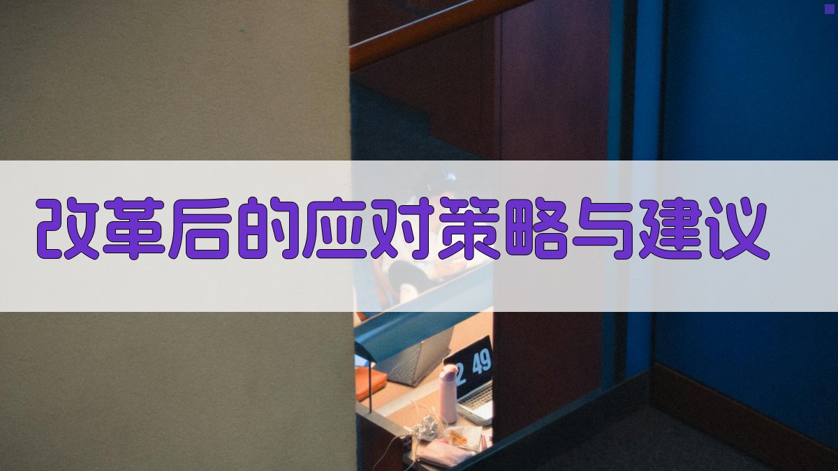 改革后的应对策略与建议 图4