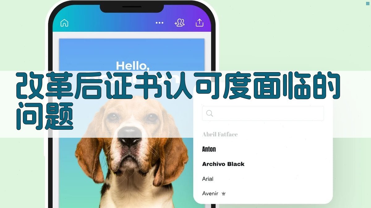 职业资格证改革后证书认可度提升策略与建议