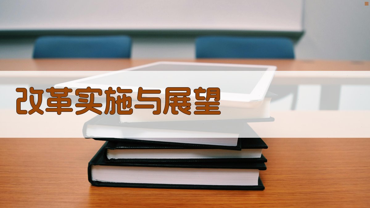 改革实施与展望 图4