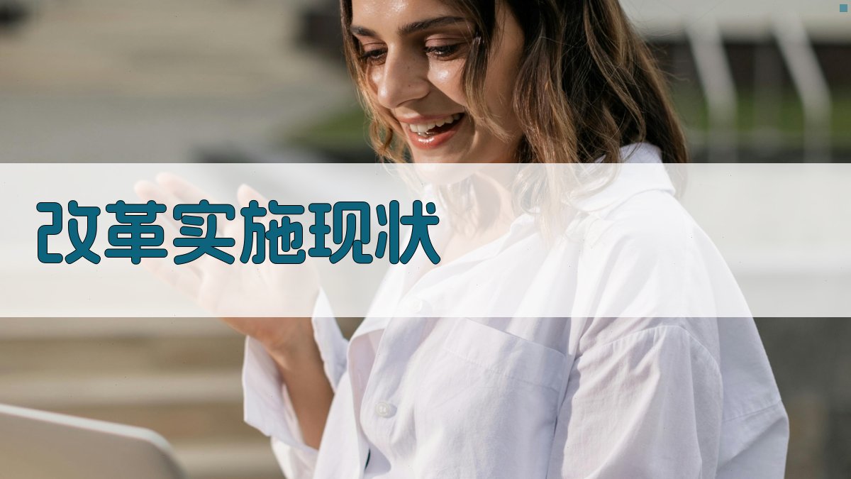 改革实施现状 图2