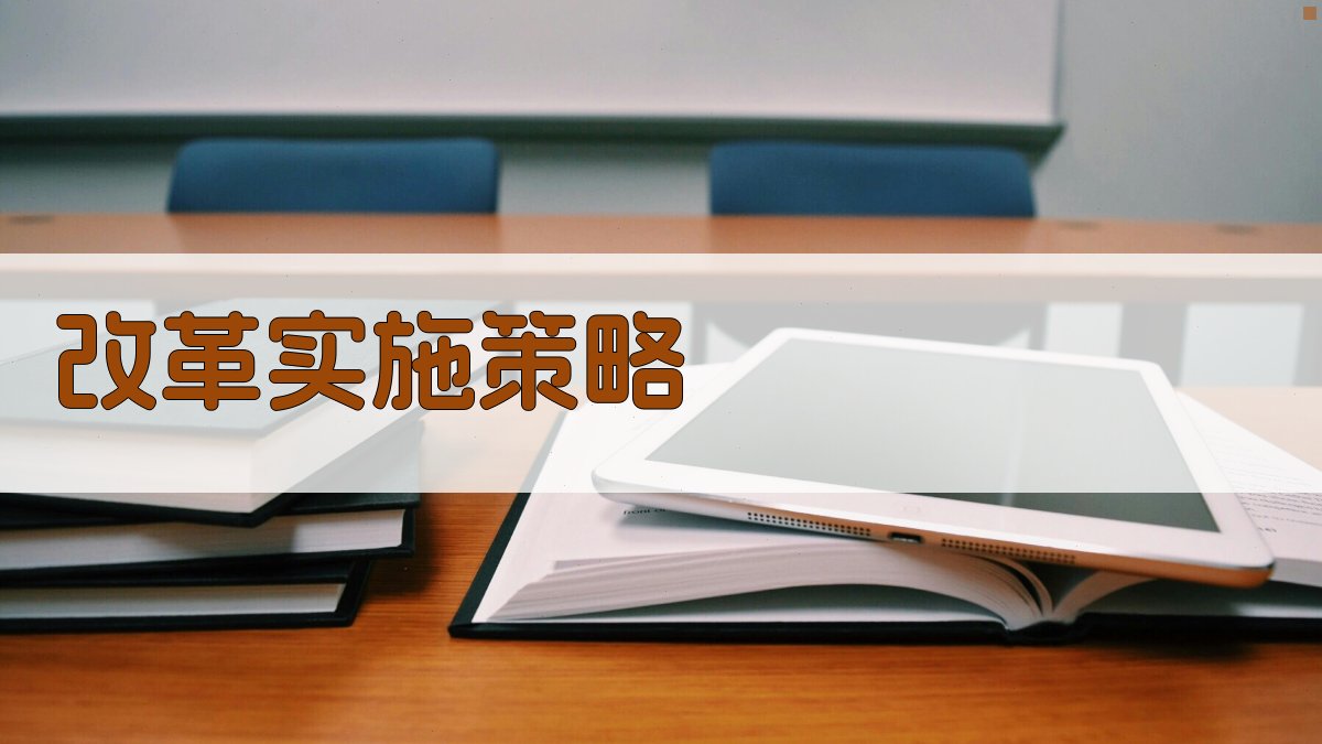 改革实施策略 图2