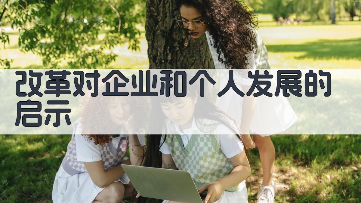 改革对企业和个人发展的启示 图2