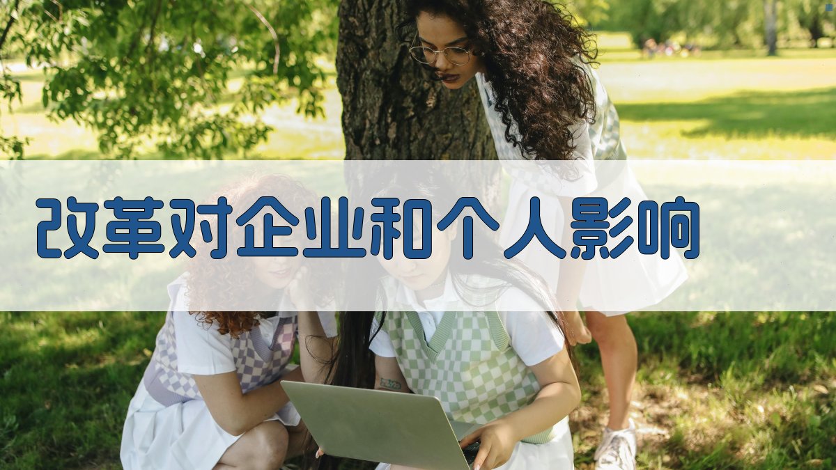 改革对企业和个人影响 图3