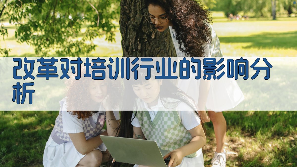 改革对培训行业的影响分析 图2