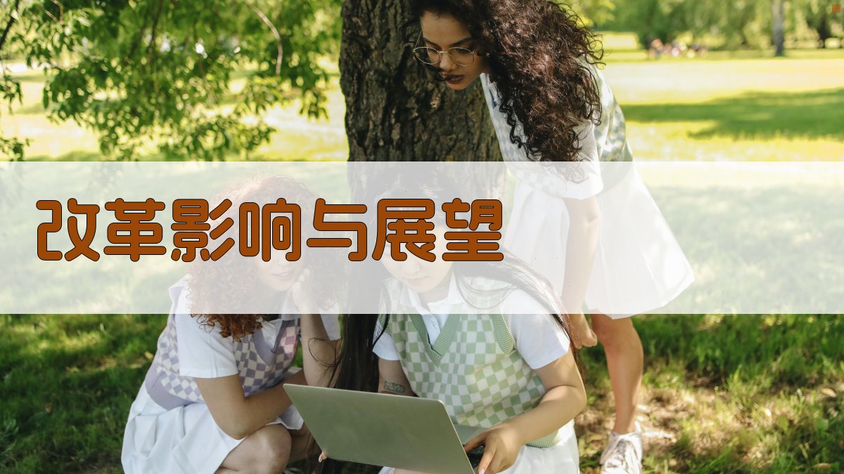 改革影响与展望 图4