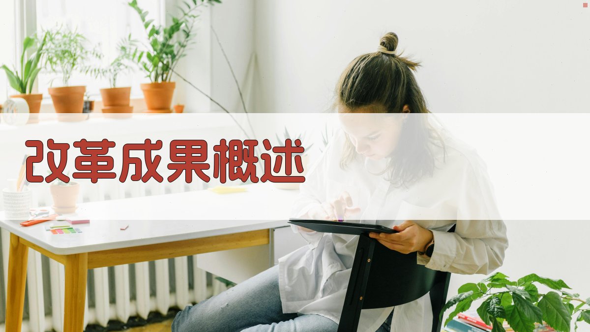 改革成果概述 图2