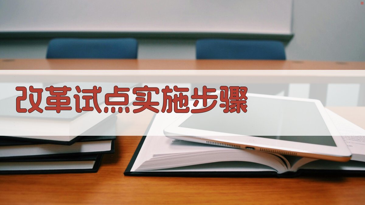 改革试点实施步骤 图2