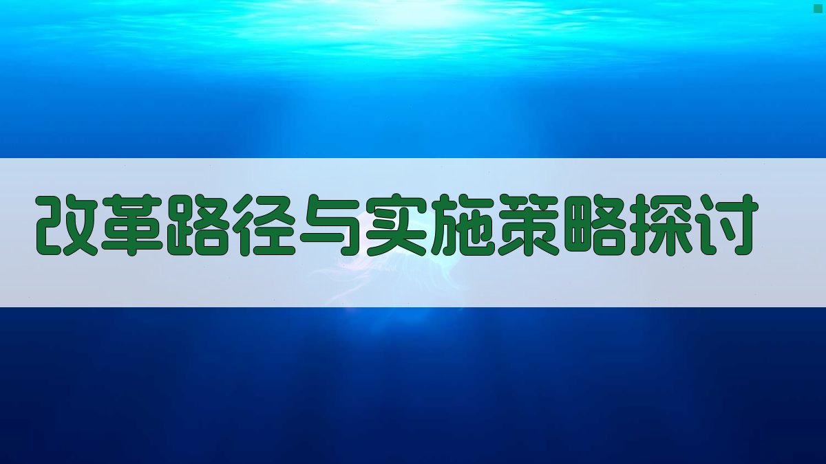 改革路径与实施策略探讨 图3