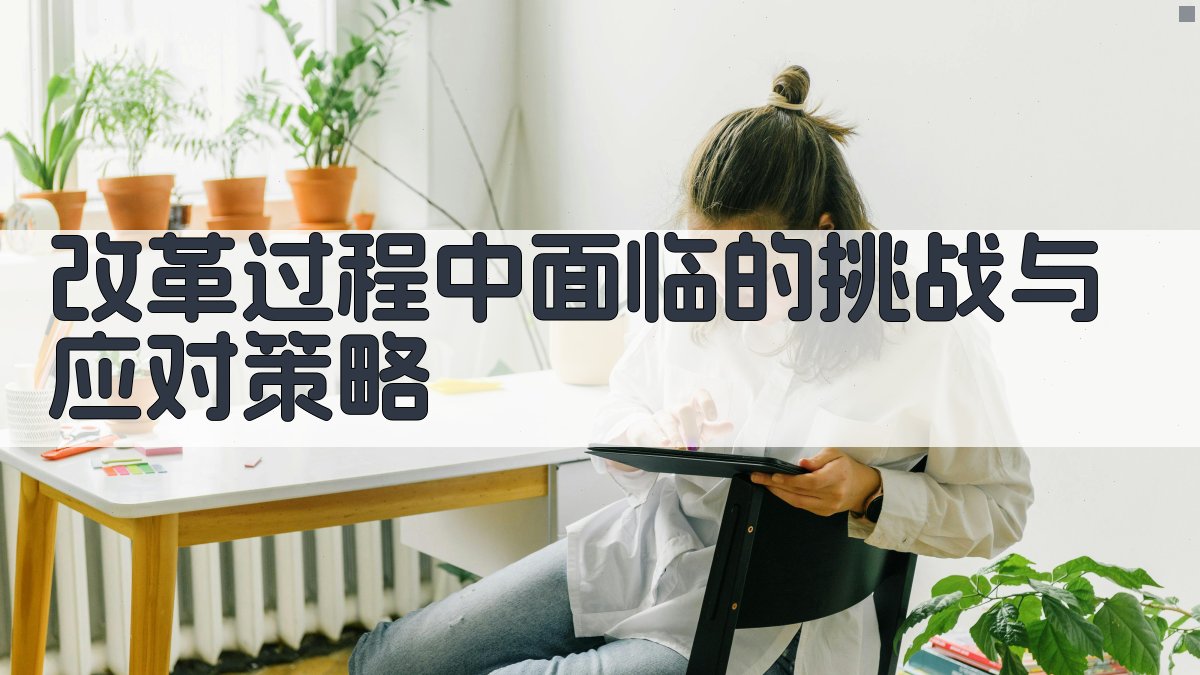 改革过程中面临的挑战与应对策略 图2