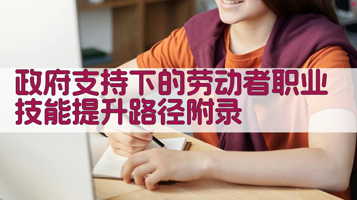 政府支持下的劳动者职业技能提升路径 · 附录 图2