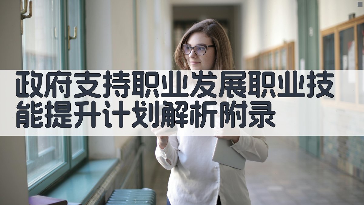 政府支持职业发展职业技能提升计划解析 · 附录 图4